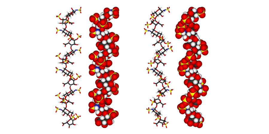 Heparin molecule